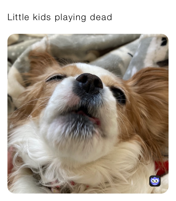 Little kids playing dead 