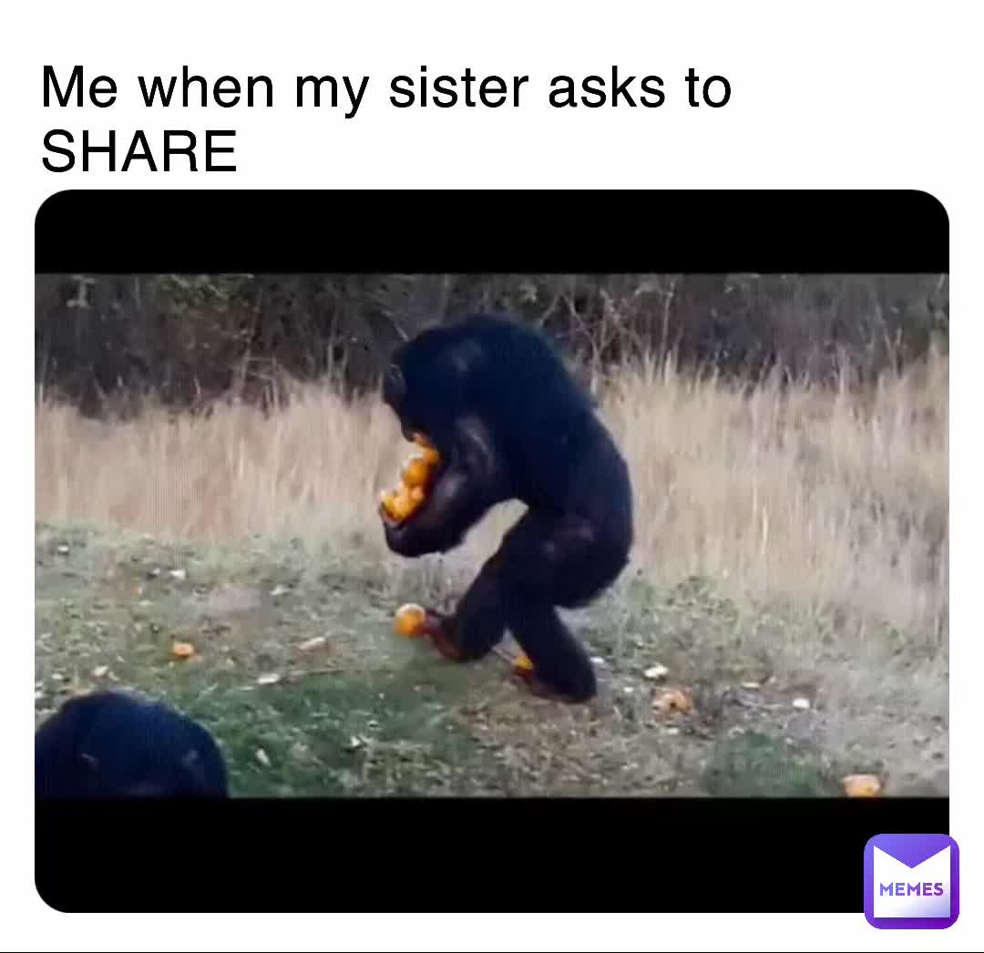 Meme preview
