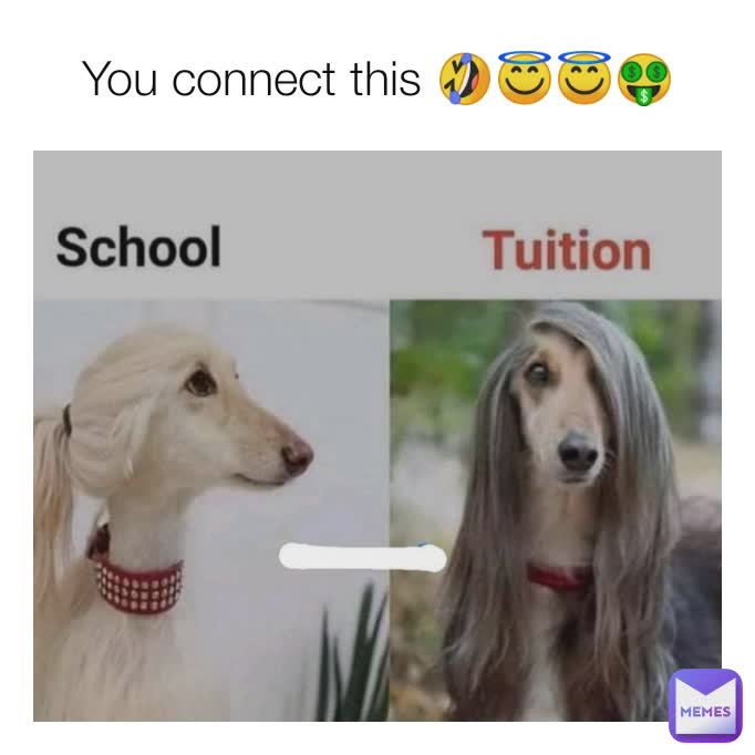 You connect this 🤣😇😇🤑
