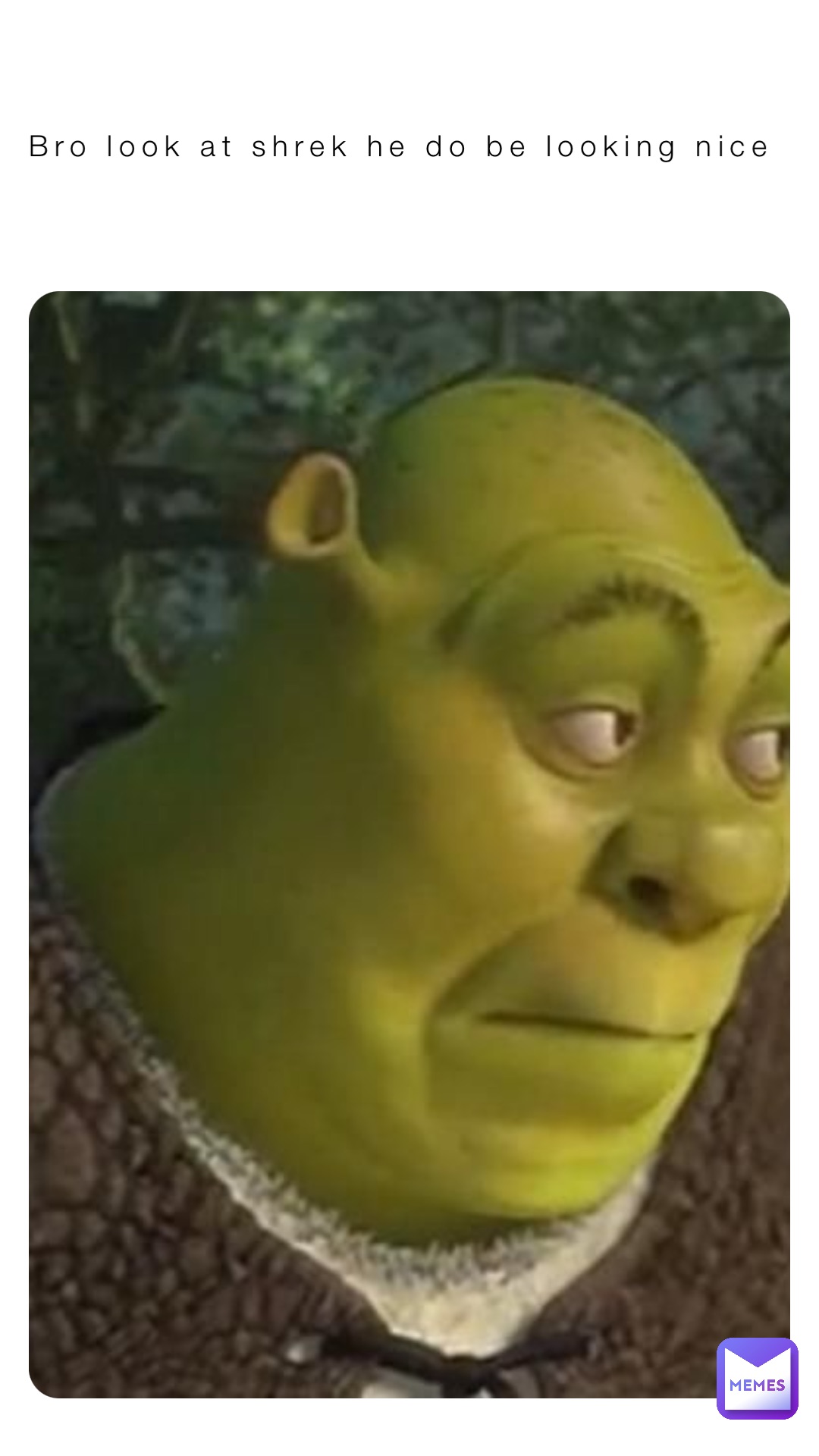 Bro look at shrek he do be looking nice | @AllStarAlex31 | Memes