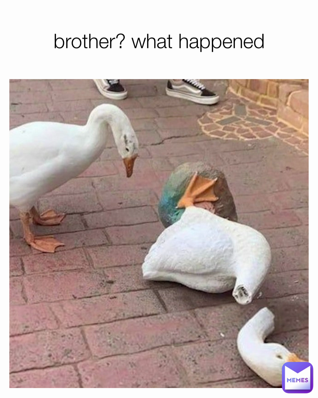 brother? what happened