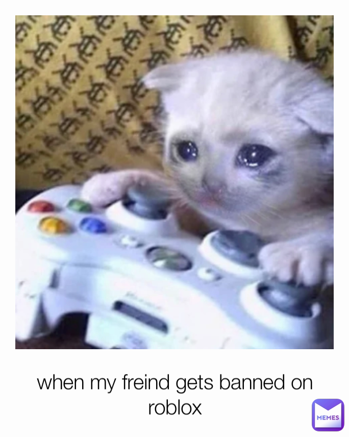when my freind gets banned on roblox