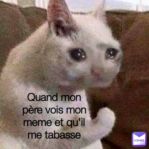 Quand mon père vois mon meme et qu'il me tabasse
