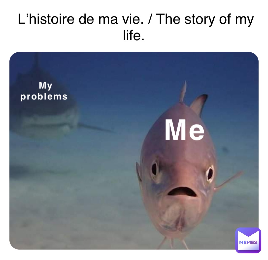 Me My 
problems L’histoire de ma vie. / The story of my life.