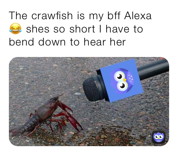 The crawfish is my bff Alexa 😂 shes so short I have to bend down to hear her