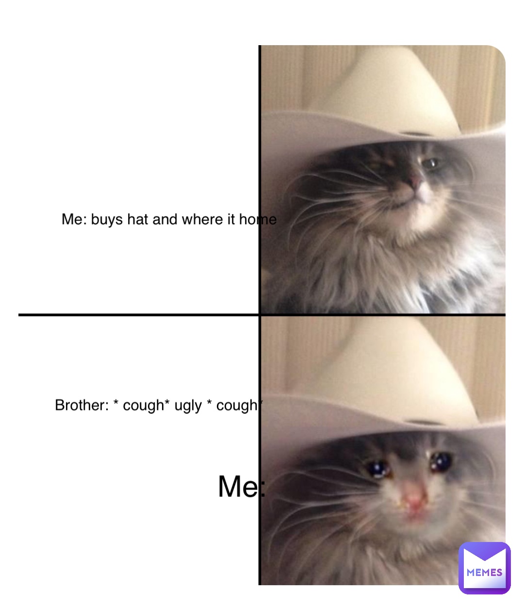 Hi Me: buys hat and where it home Brother: * cough* ugly * cough* Me: