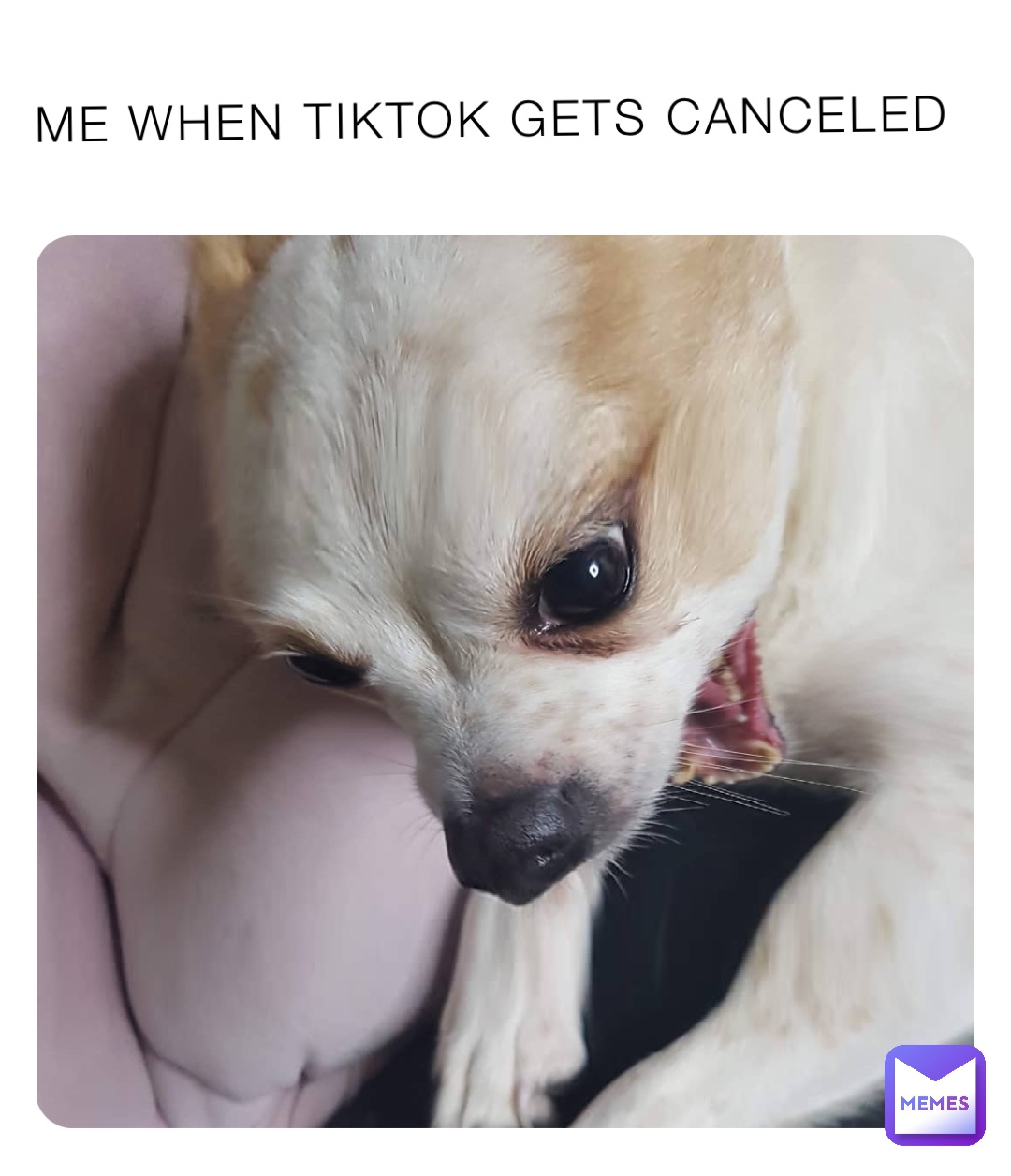 Me when TikTok gets canceled