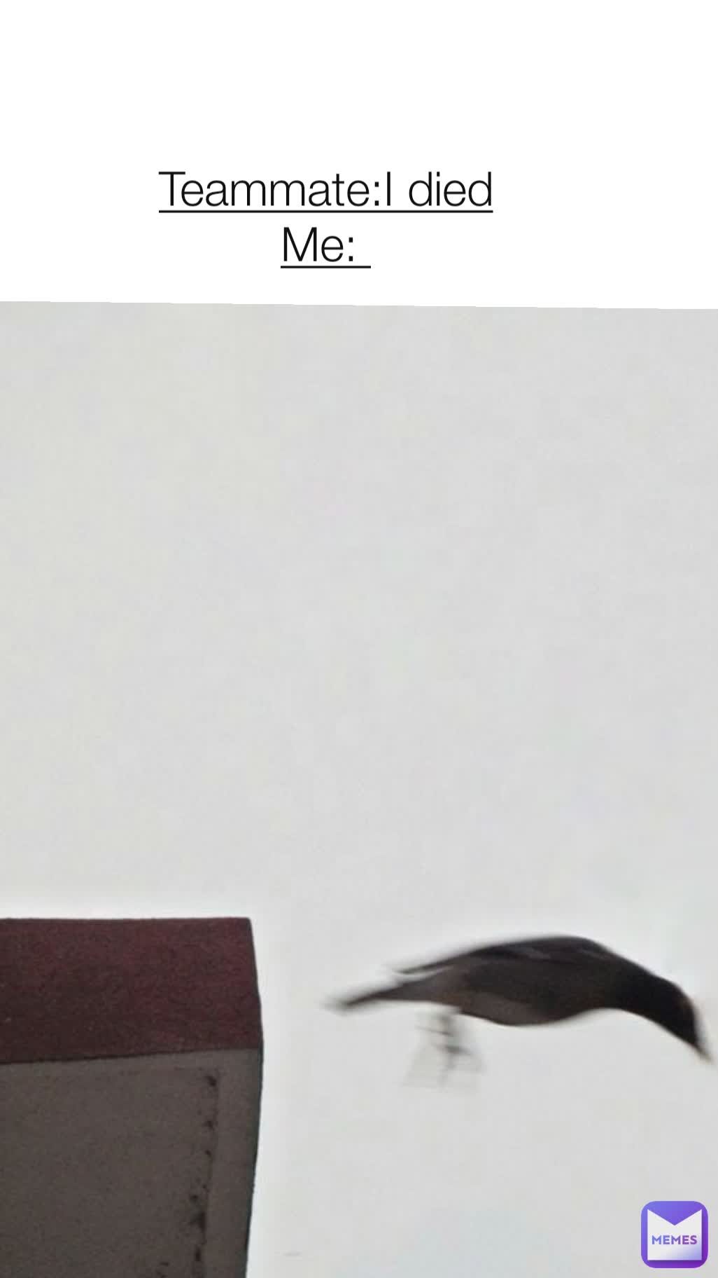 Meme by Random_.memes