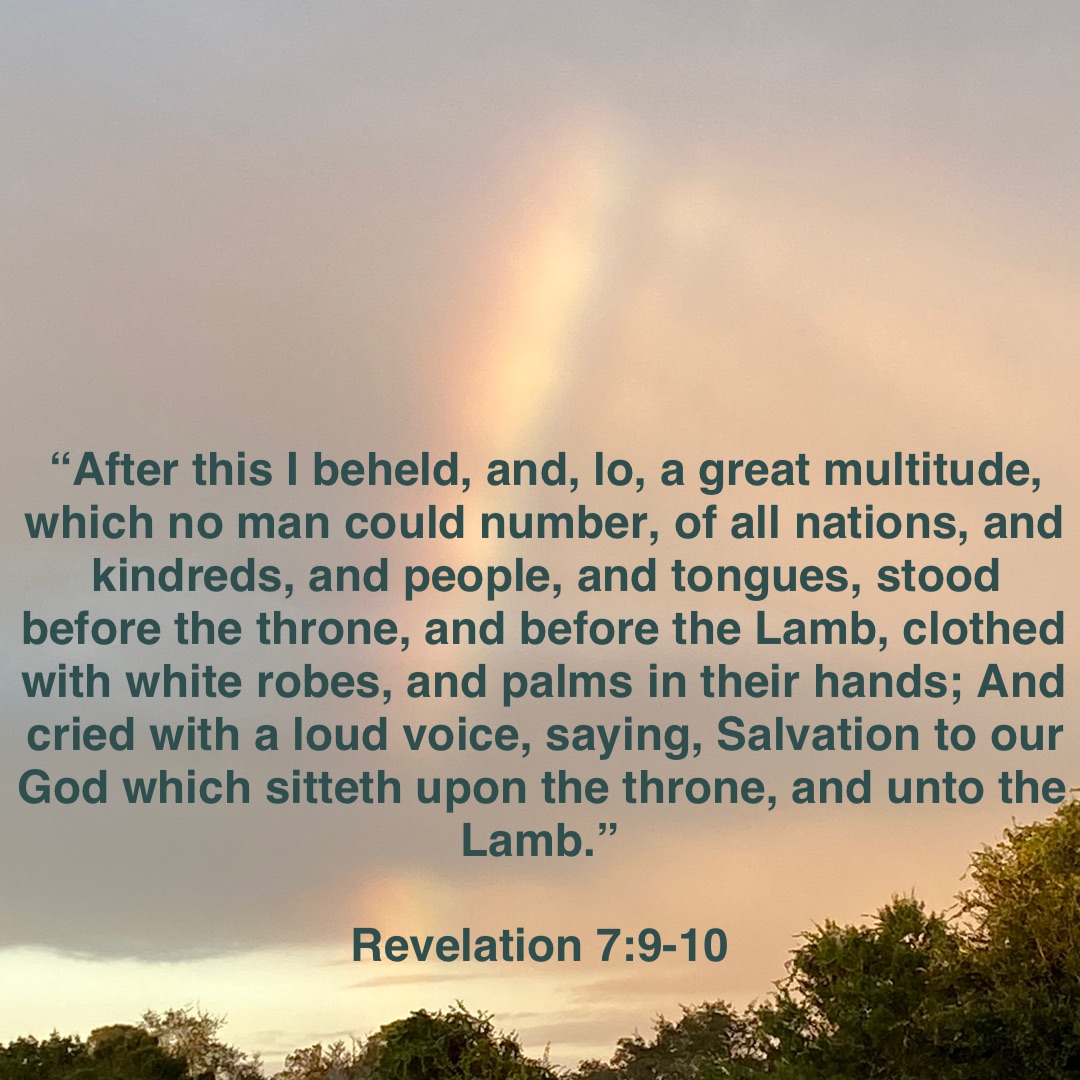 “After this I beheld, and, lo, a great multitude, which no man could number, of all nations, and kindreds, and people, and tongues, stood before the throne, and before the Lamb, clothed with white robes, and palms in their hands; And cried with a loud voice, saying, Salvation to our God which sitteth upon the throne, and unto the Lamb.”

Revelation 7:9-10