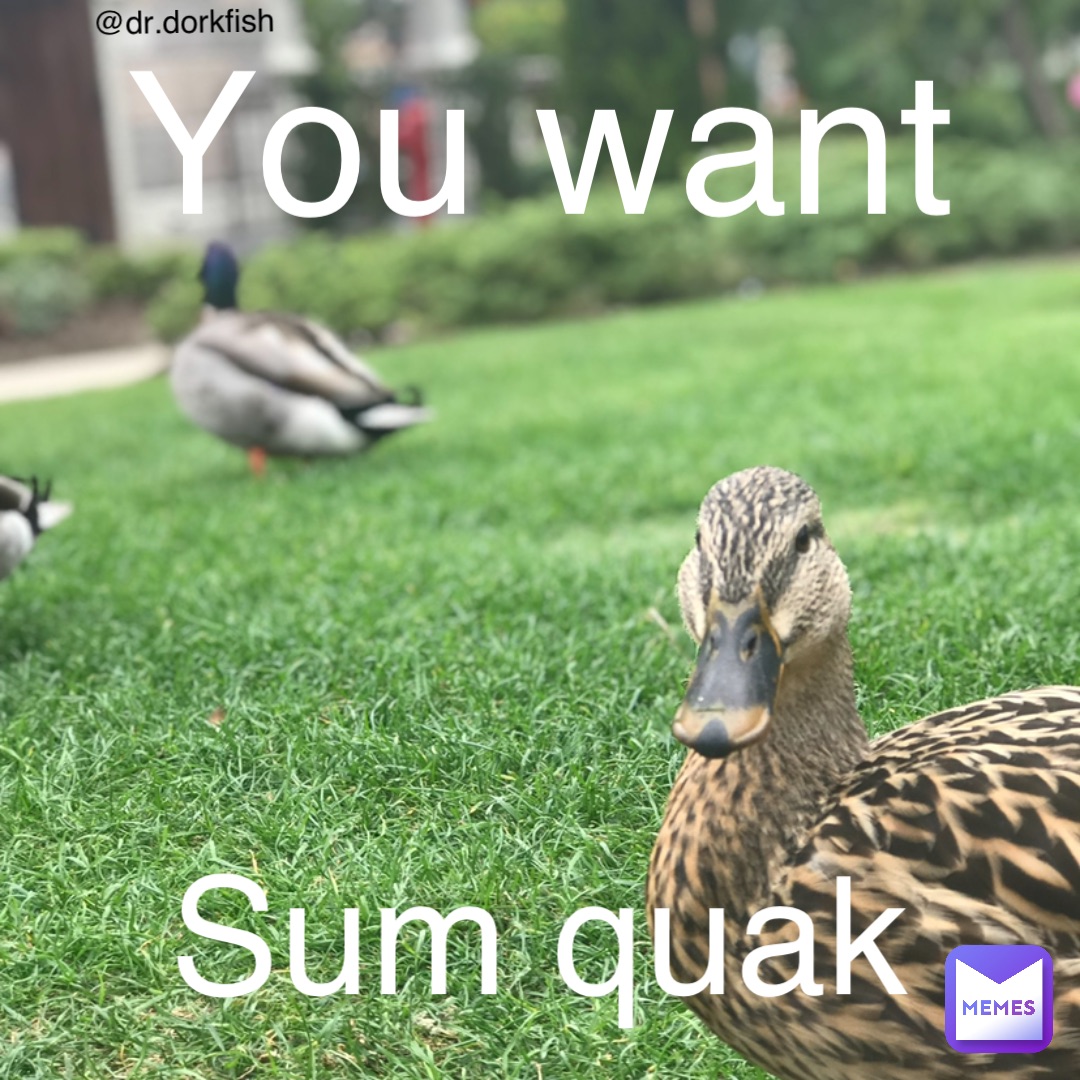 You want Sum quak