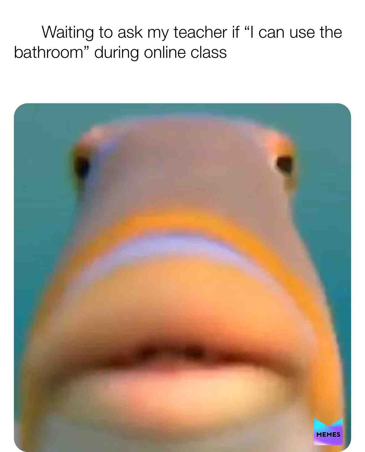 This is my first time making memes