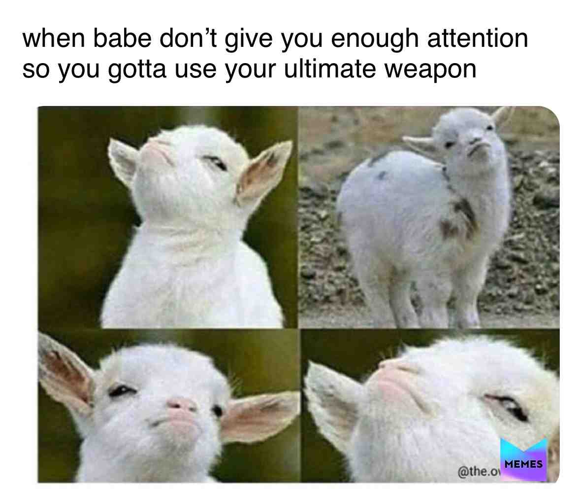 #foryou #memes #follow