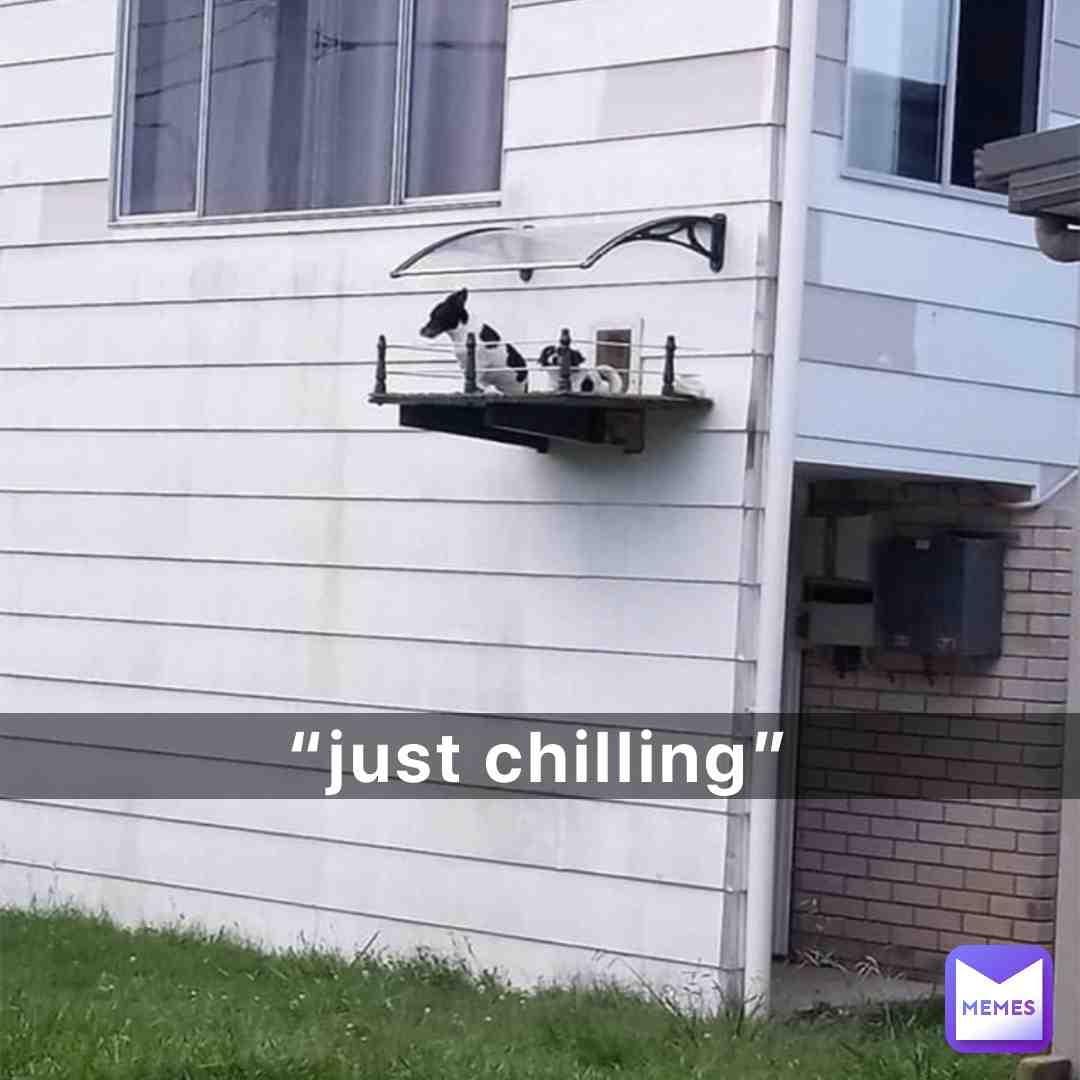 Meme shared by @Orangejuiceyboi