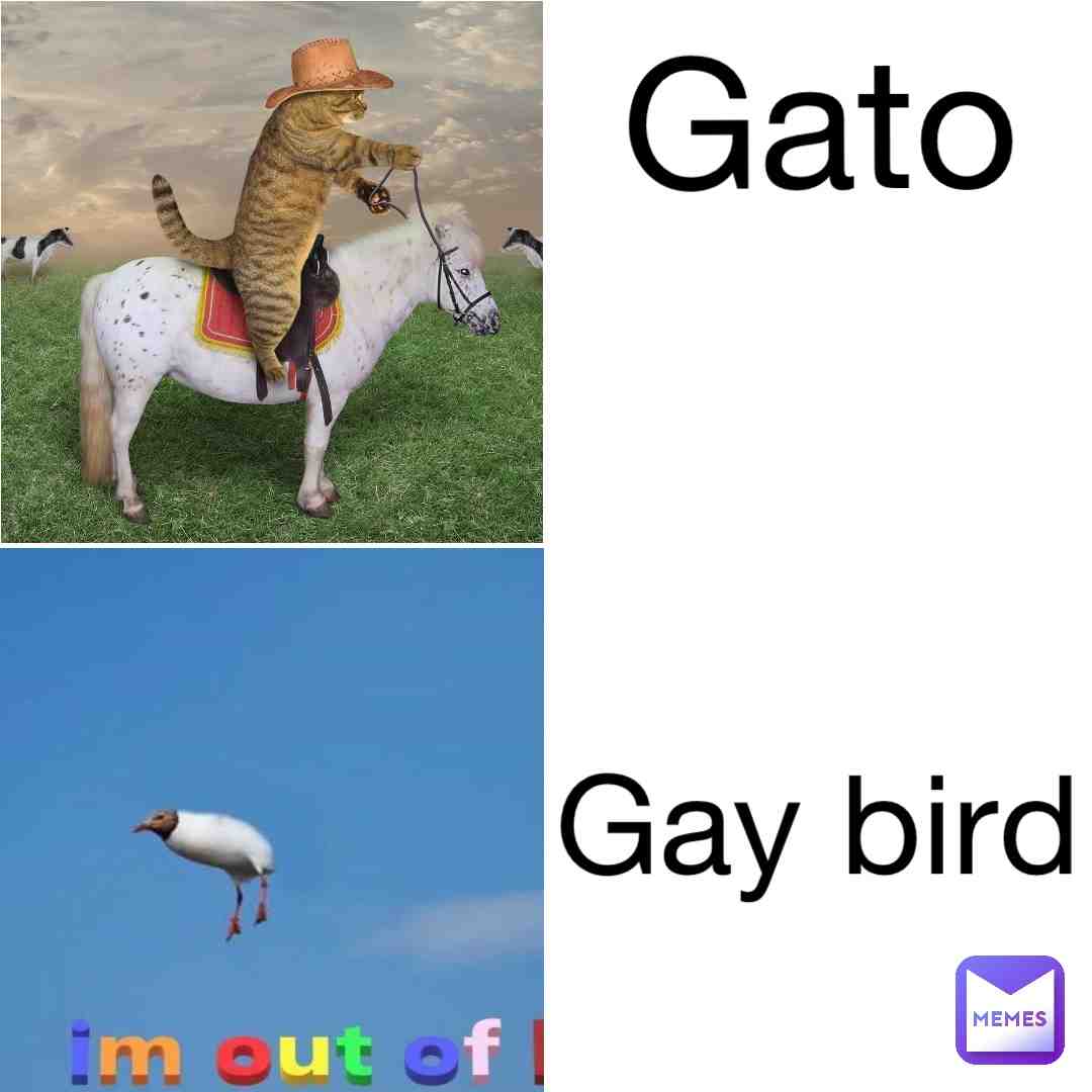 Meme shared by @Orangejuiceyboi