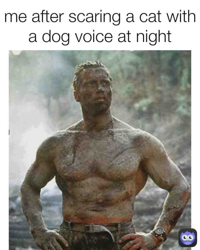 Meme shared by @mkmoger