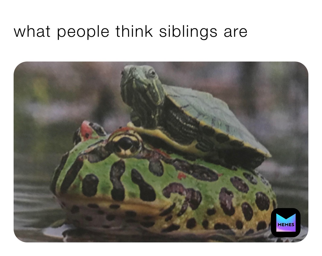 what people think siblings are￼