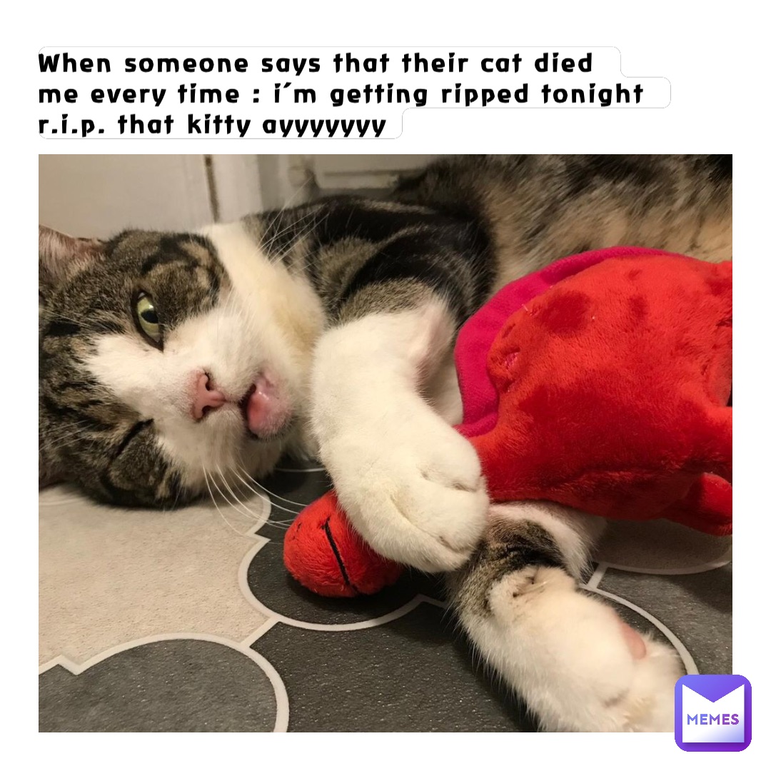 When someone says that their cat died 
Me every time : I’m getting ripped tonight r.i.p. that kitty AYYYYYYY