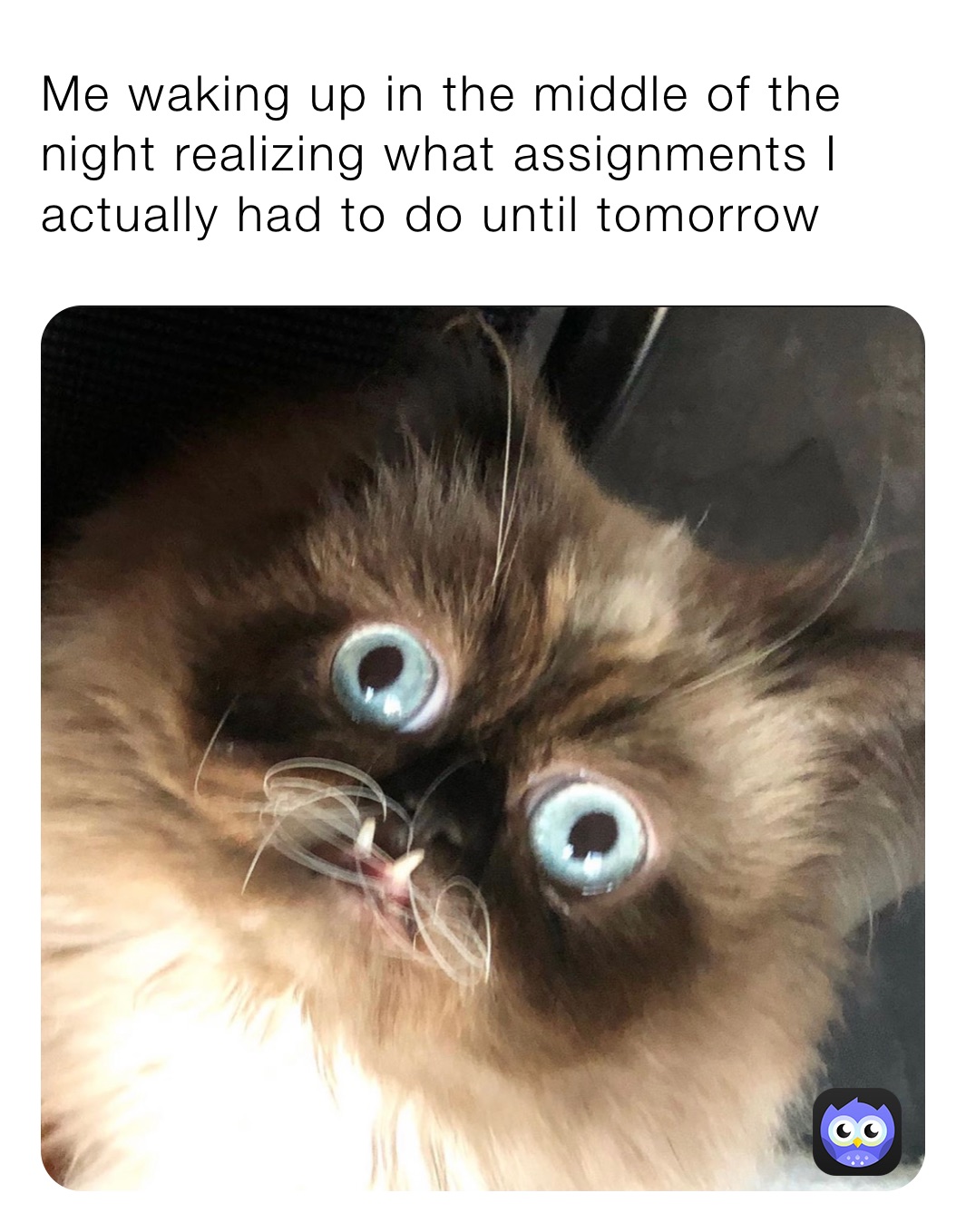 Me waking up in the middle of the night realizing what assignments I actually had to do until tomorrow