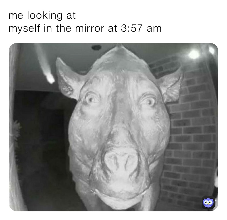 me looking at 
myself in the mirror at 3:57 am