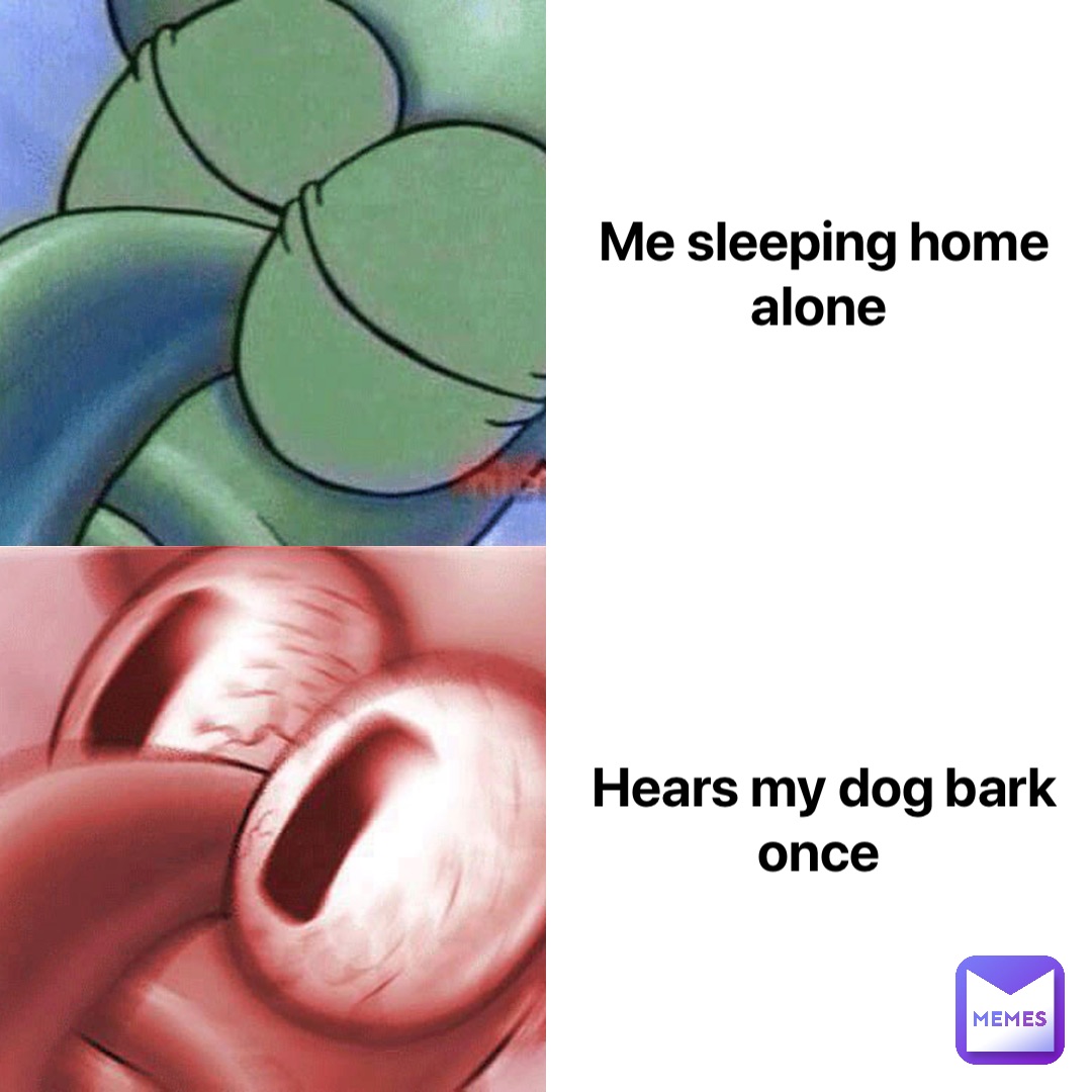 Me sleeping home alone Hears my dog bark once