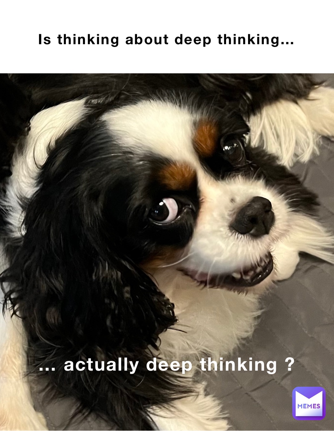 Meme by kopyt.michal