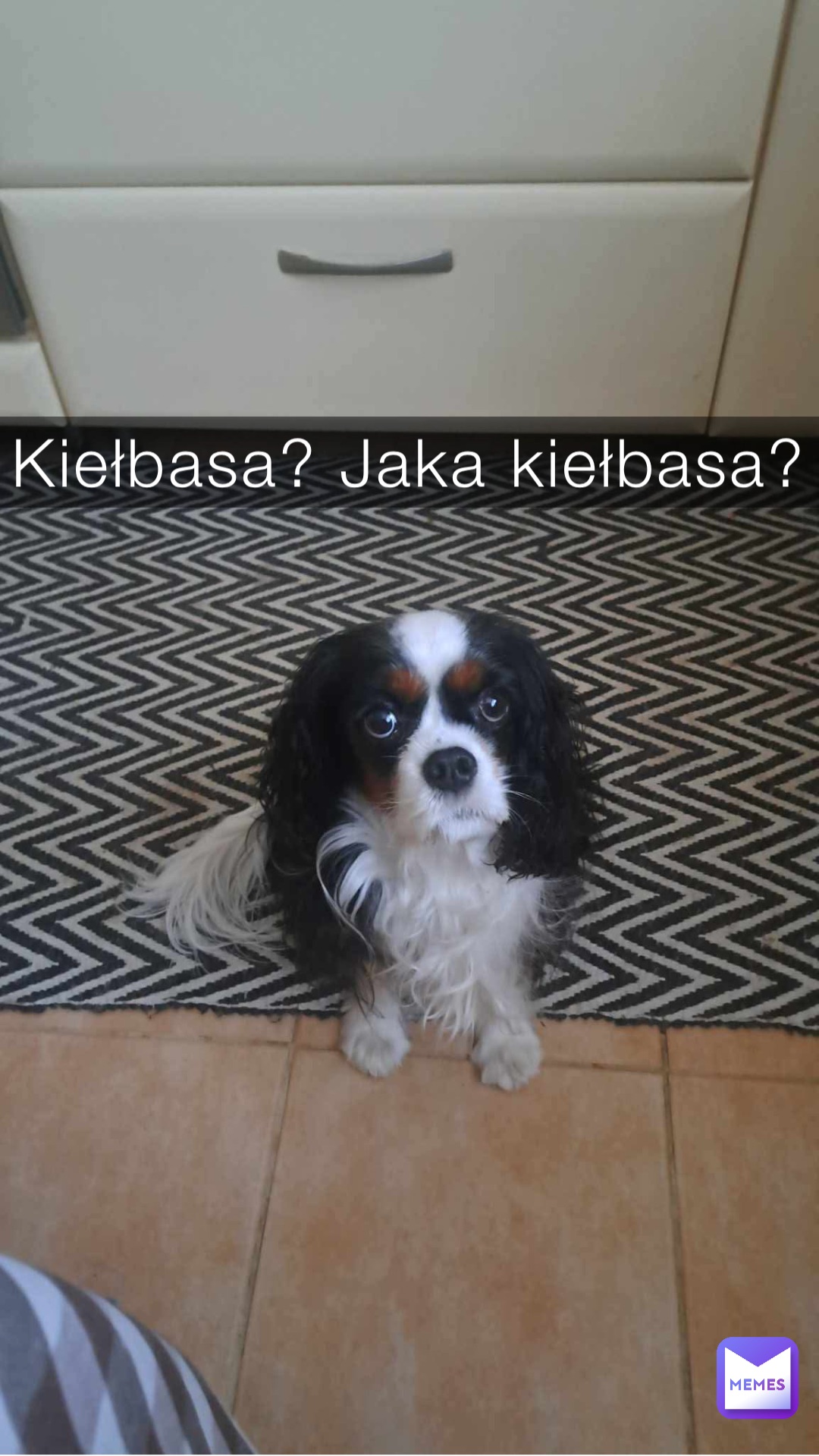 Meme by kopyt.michal