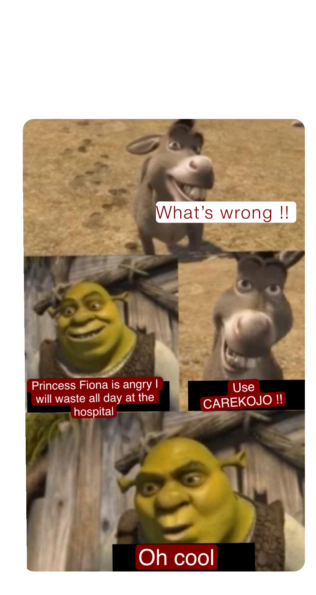 What’s wrong !! Princess Fiona is angry I will waste all day at the hospital Use CAREKOJO !! Oh cool