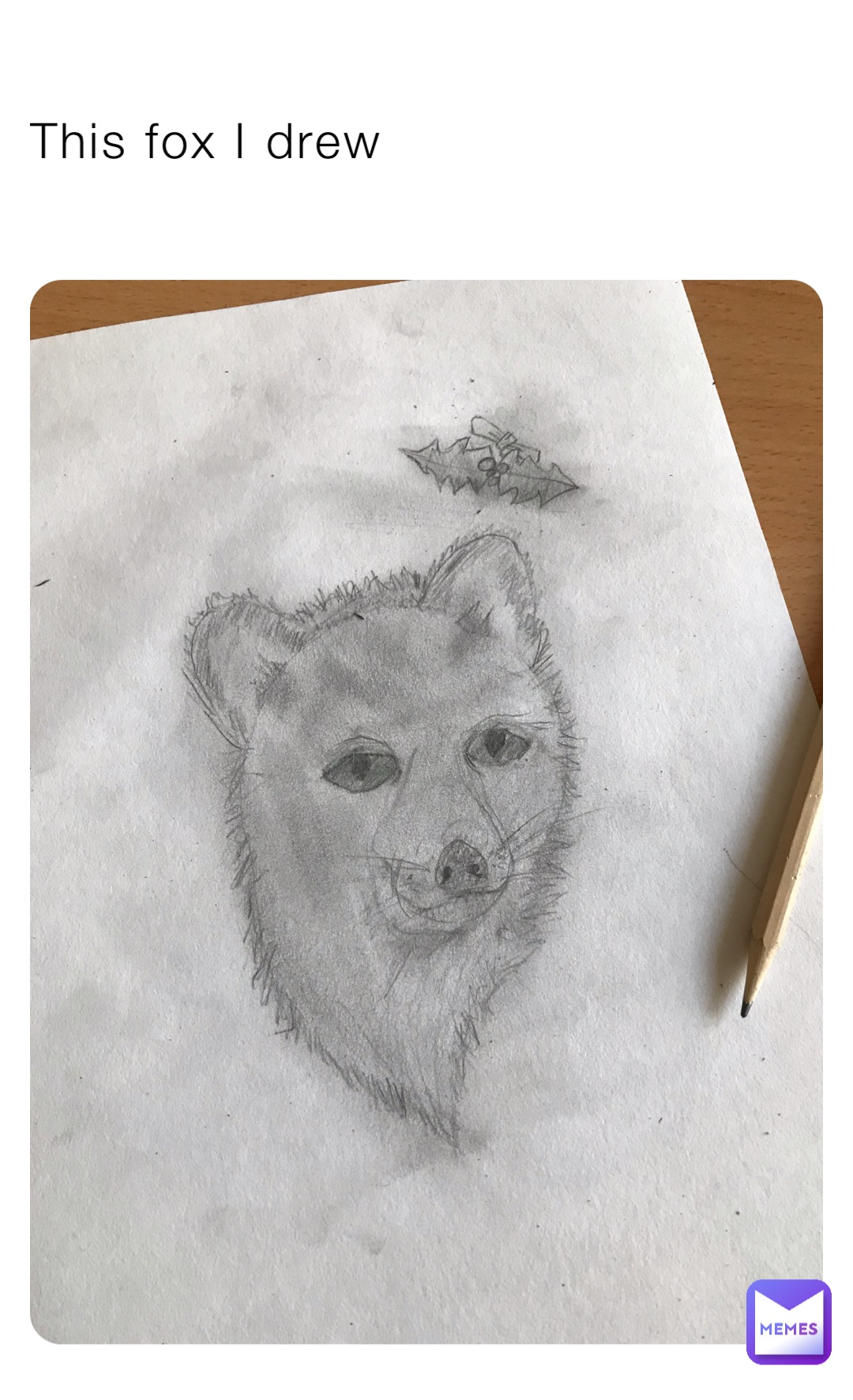 This fox I drew