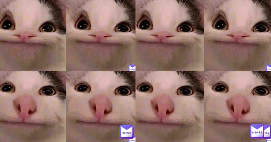 Meme shared by @Dankosaurus