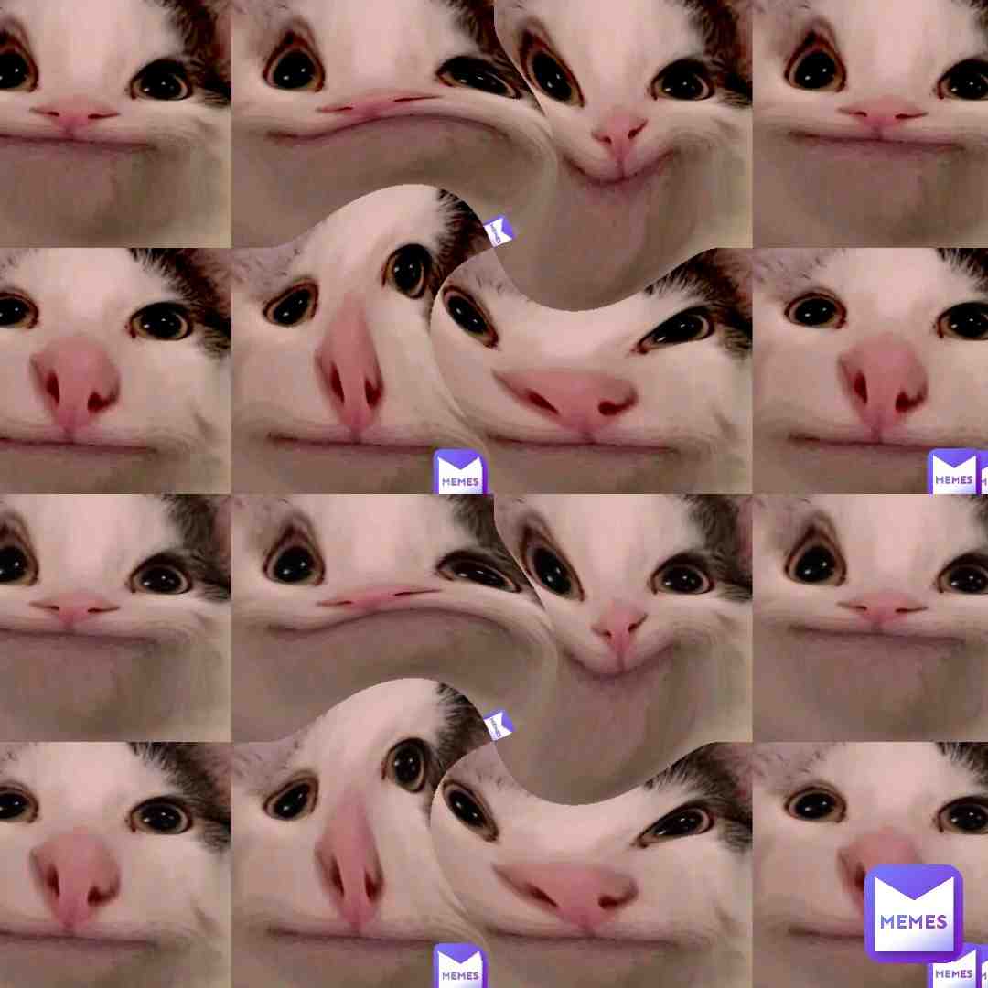 #shitpost  it is a master piece. Please keep it alive