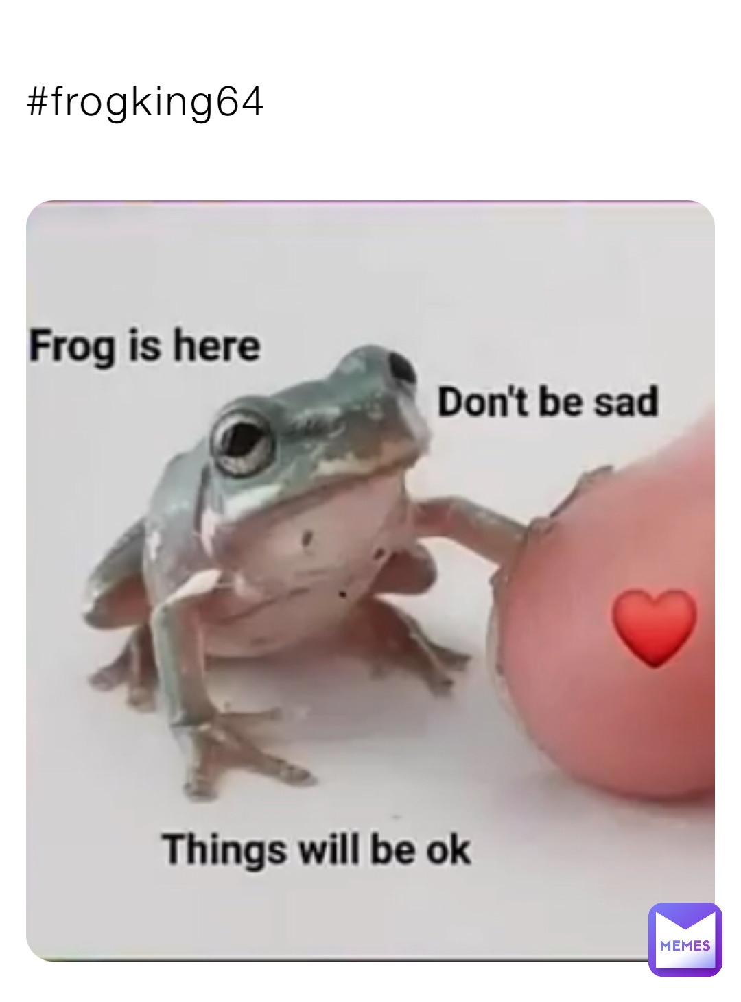 #frogking64
