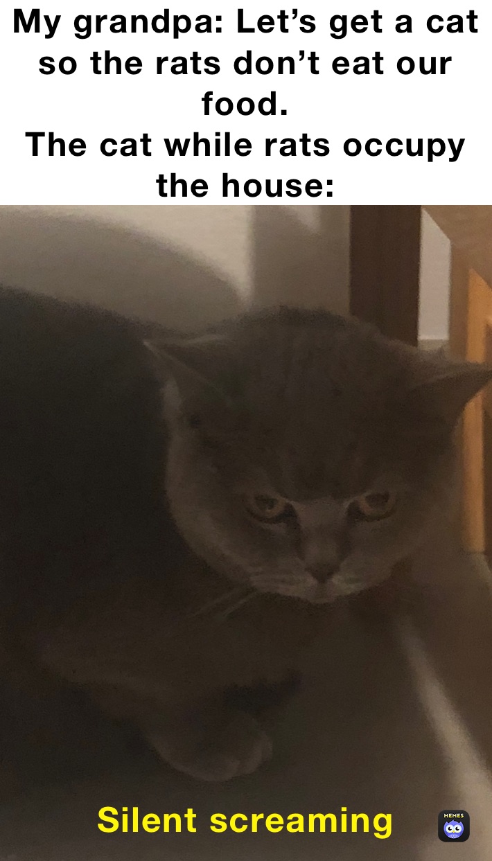 Meme by larss-jakobsons