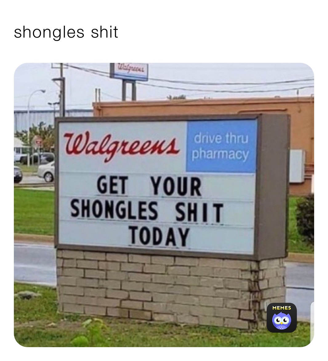 shongles shit
