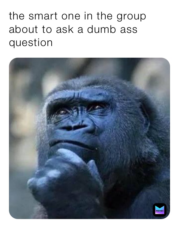 dumb ass