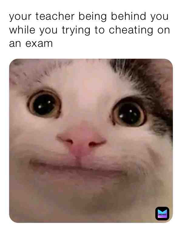 Meme shared by @meme_mystro14