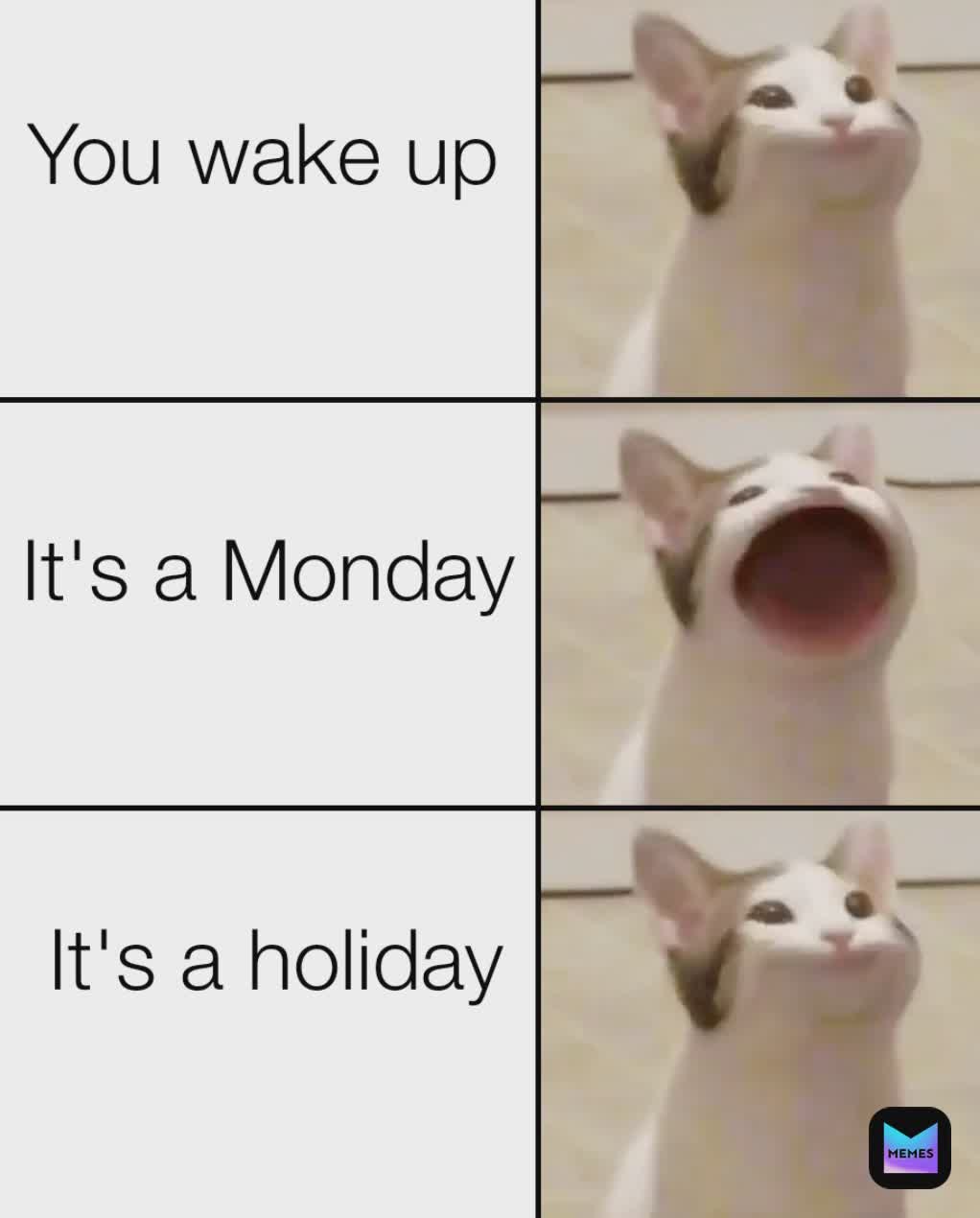 Meme by musicodermemer