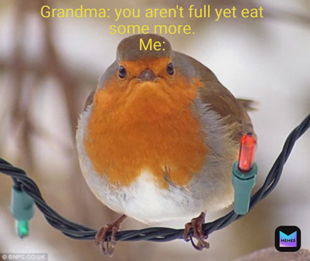 Meme by musicodermemer