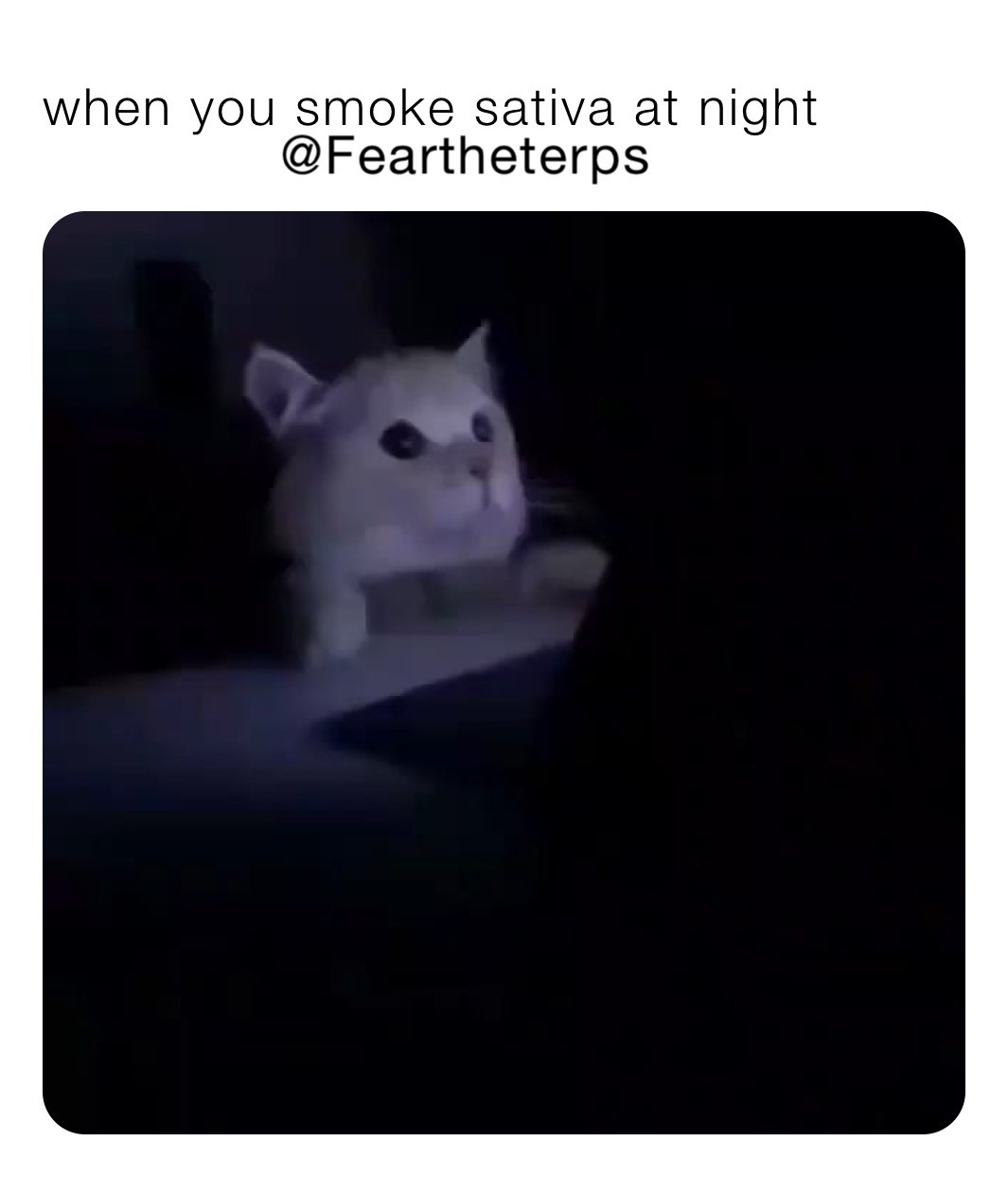 when you smoke sativa at night ￼