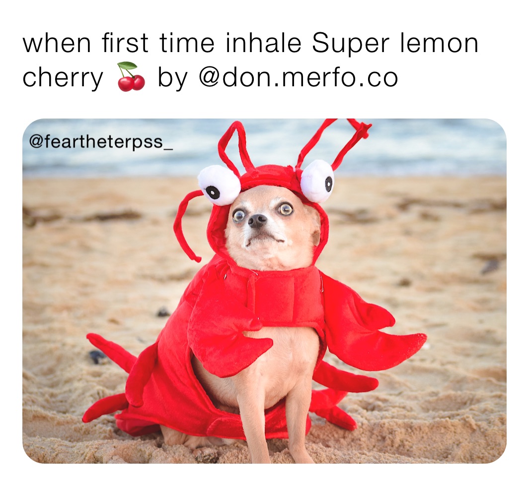 Meme by Feartheterps