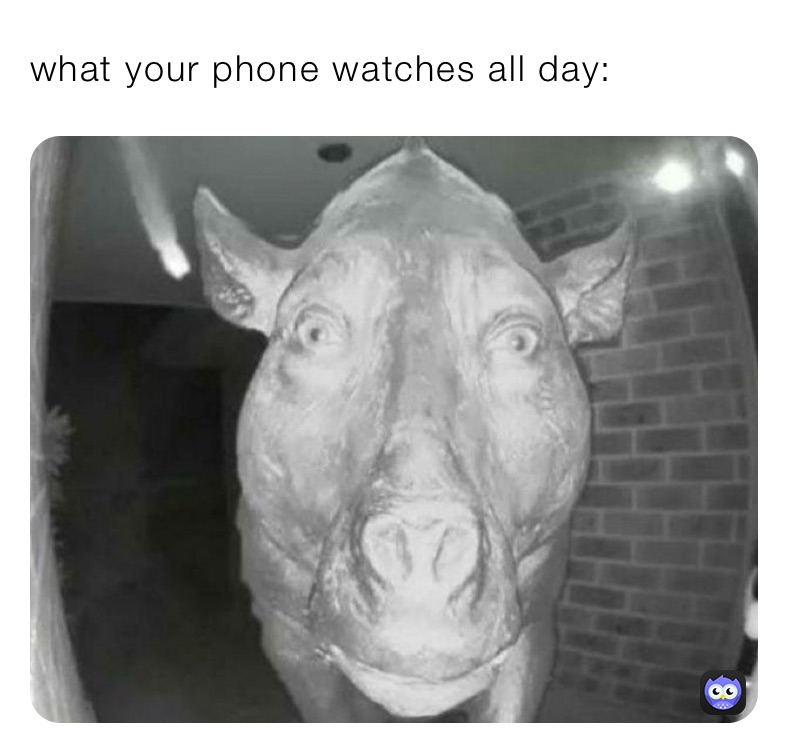 what your phone watches all day: