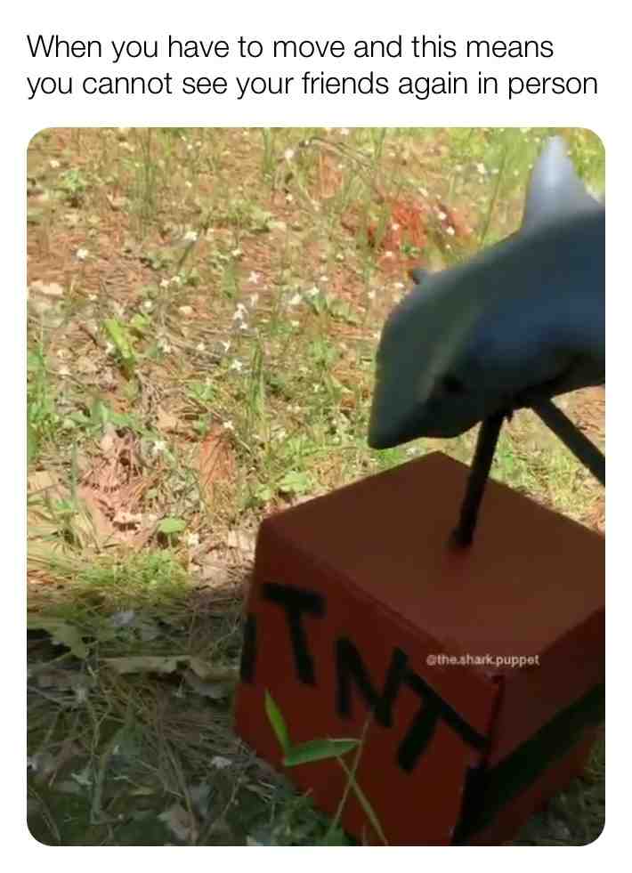 #friendmemes  #sharks