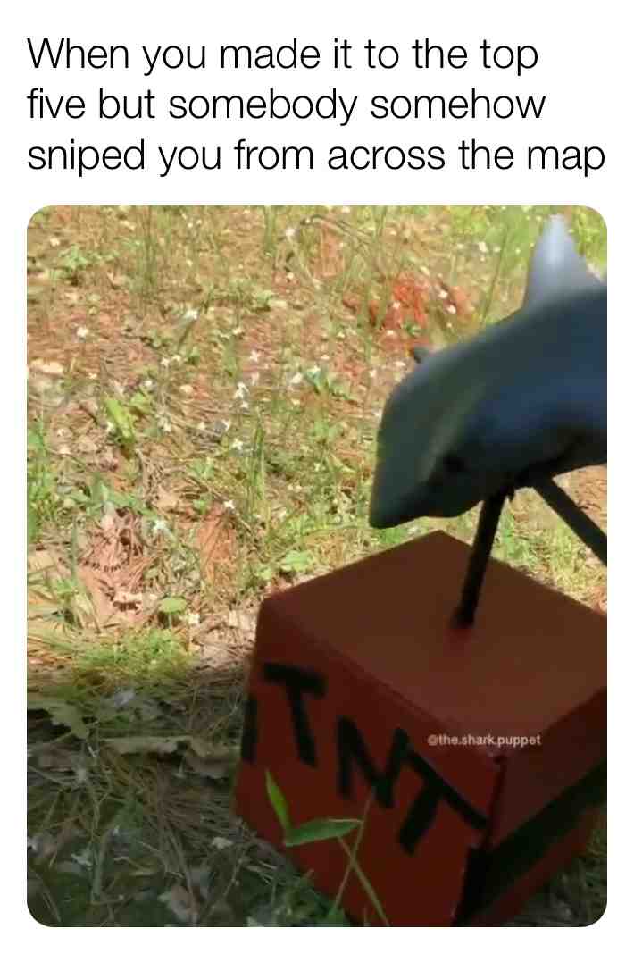 #fortnite  #sharks