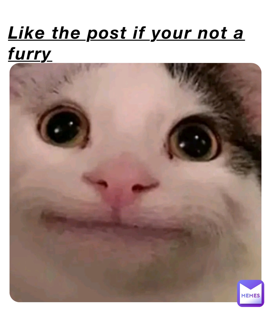 Like the post if your not a furry