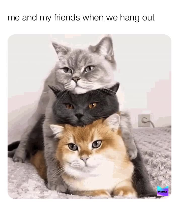 We be fr chilling