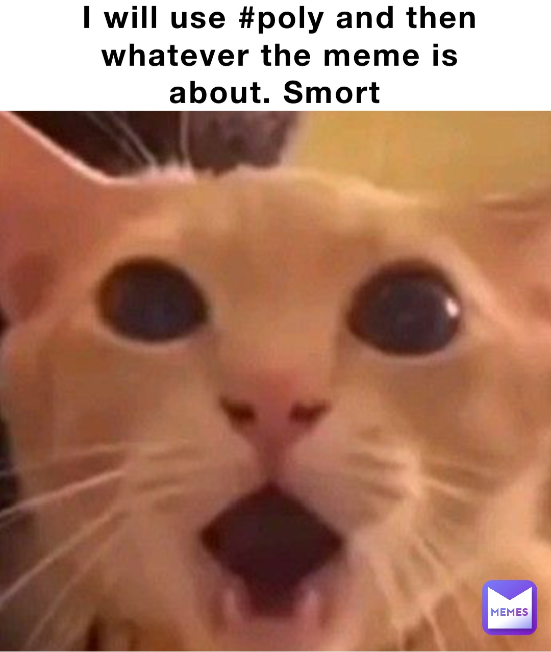 I will use #poly and then whatever the meme is about. Smort