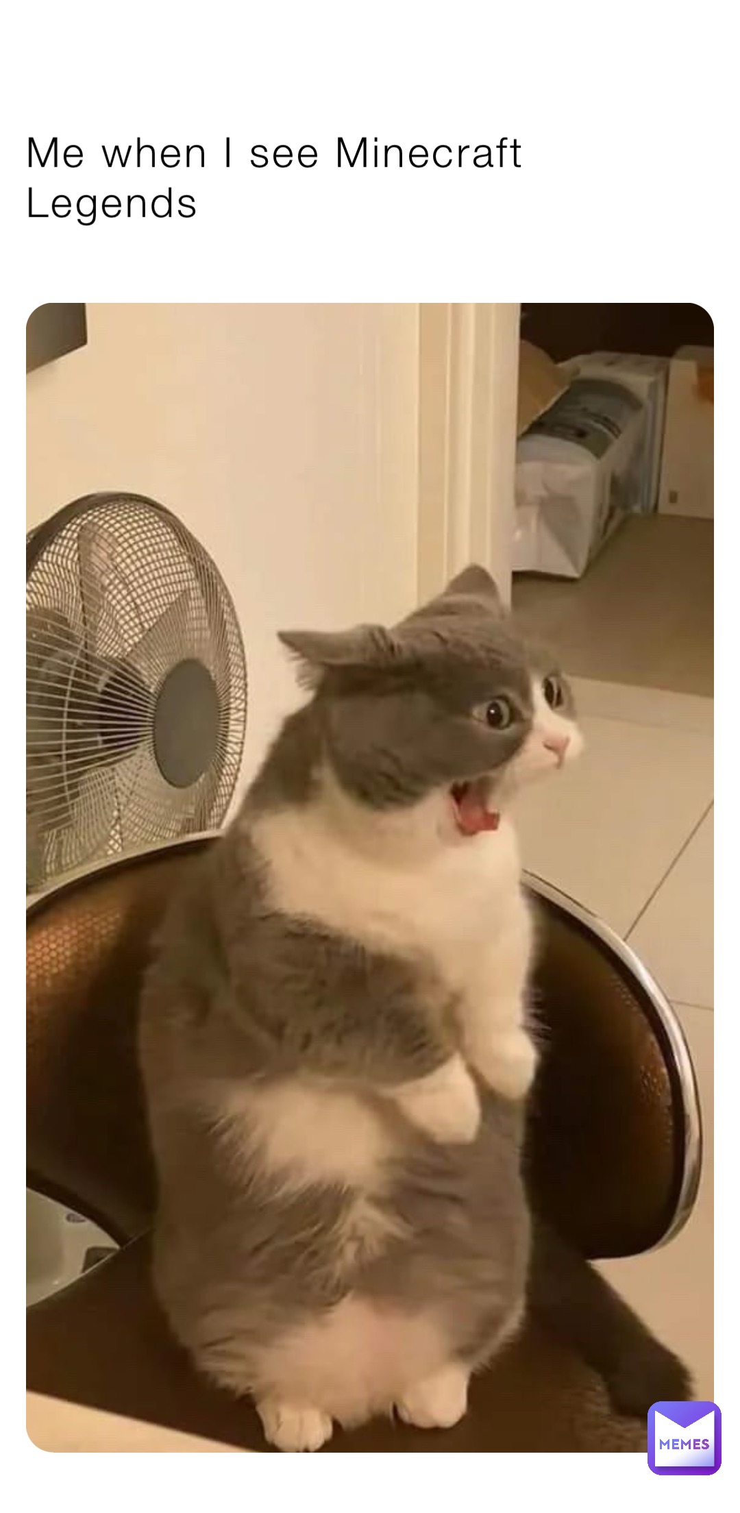 Me when I see Minecraft Legends