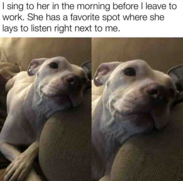 Meme shared by @dallas_winston