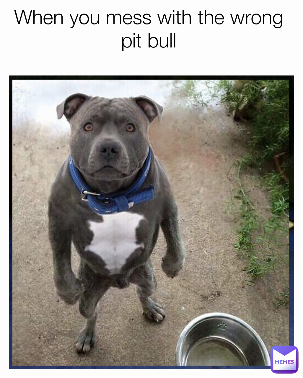 Meme by Daddy_LongLegs