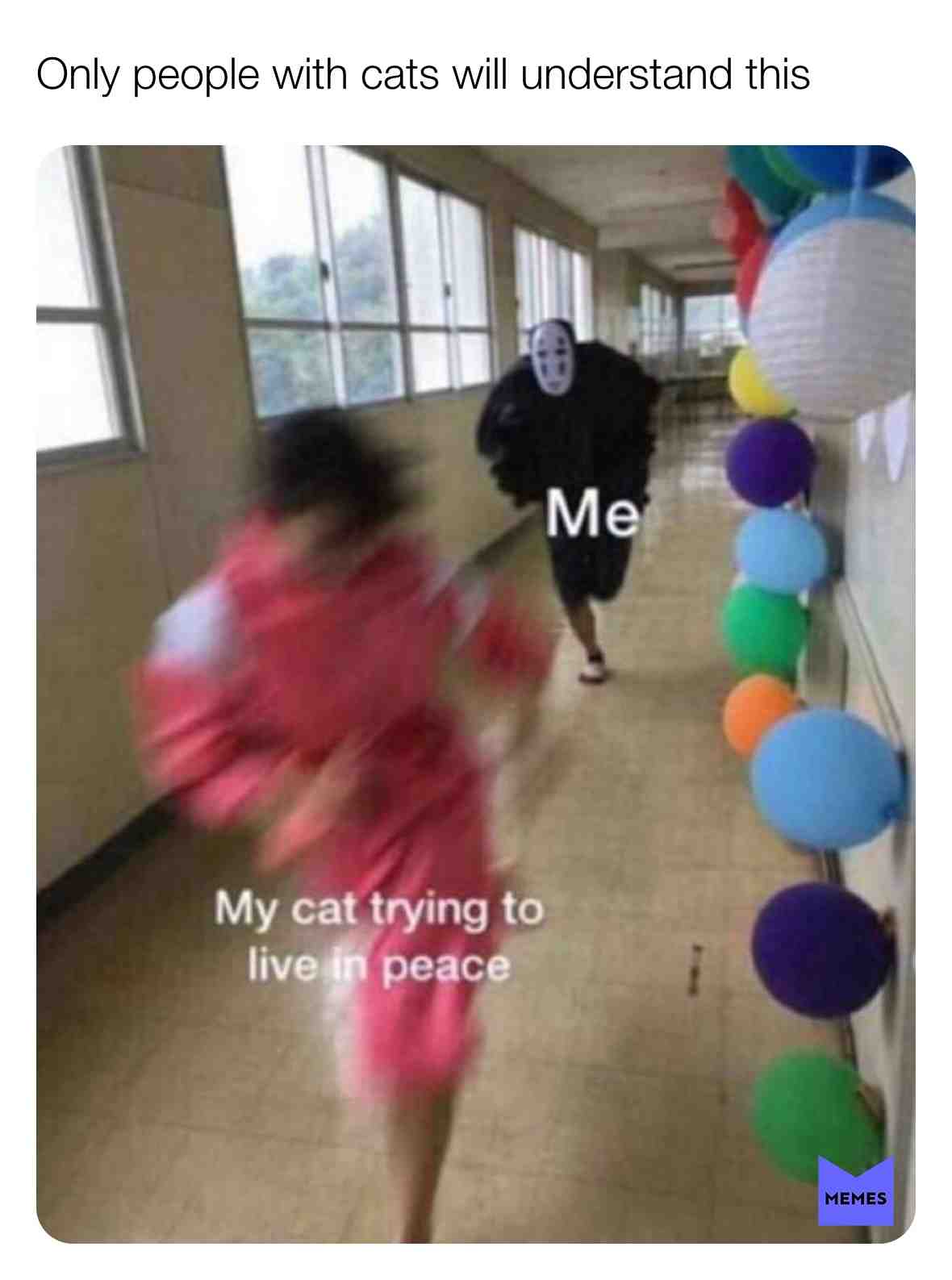 #cats #meme #catperson #catlover #catowner