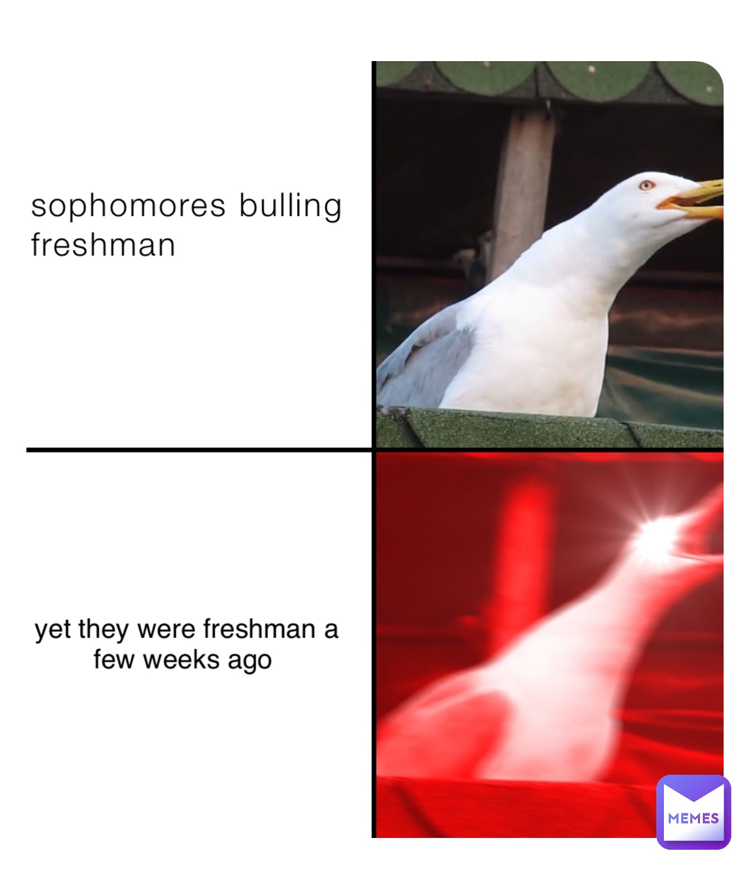 sophomores bulling 
freshman yet they were freshman a 
few weeks ago